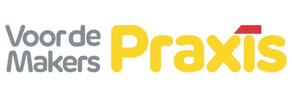 Logo van Praxis-kluscontainer.nl met grijze letters de slogan