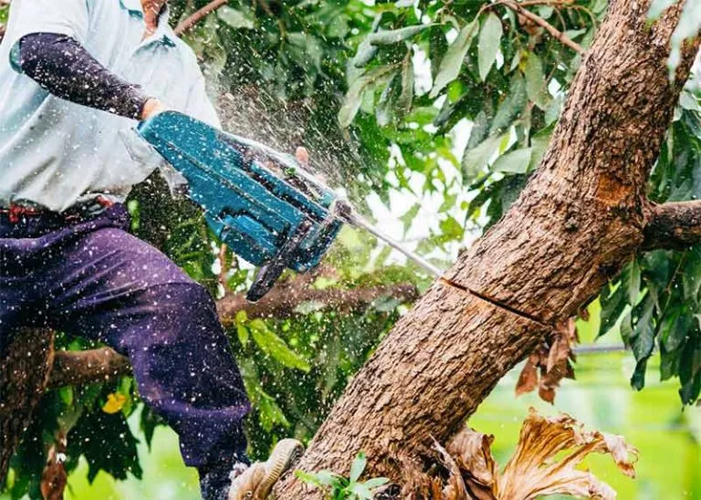 Groenafval komt vrij bij het klussen in de tuin.